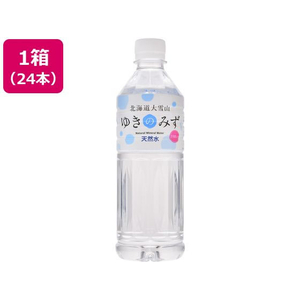北海道大雪山 ゆきのみず 550mL 24本 FCG763W-イメージ1