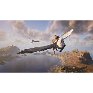 WB Games ホグワーツ・レガシー BEST PRICE【Switch】 HAC2AR3XA-イメージ4