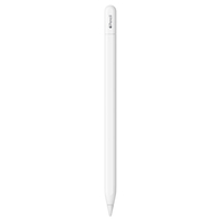 Apple Apple Pencil(USB-C) MUWA3ZA/A