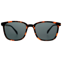 LE　FOON 大人サングラス Wellington adult sunglasses ブラウンデミ AS80104ﾌﾞﾗｳﾝﾃﾞﾐ