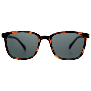 LE　FOON 大人サングラス Wellington adult sunglasses ブラウンデミ AS80104ﾌﾞﾗｳﾝﾃﾞﾐ-イメージ1