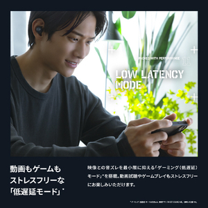 AVIOT トゥルーワイヤレスイヤホン ブラック TE-A1-BK-イメージ17