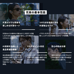 AVIOT トゥルーワイヤレスイヤホン ブラック TE-A1-BK-イメージ19