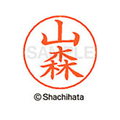 シヤチハタ ネームペン用ネーム シルバー 既製 山森 FC47730-X-GPS-1959