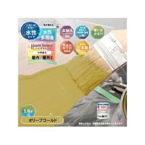 カンペハピオ ハピオセレクト オリーブゴールド 1.6L FCB567M-イメージ2