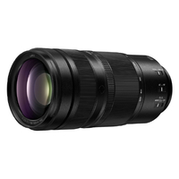 パナソニック デジタル一眼カメラ用交換レンズ S-R100500