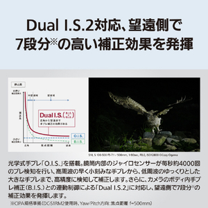 パナソニック デジタル一眼カメラ用交換レンズ S-R100500-イメージ10
