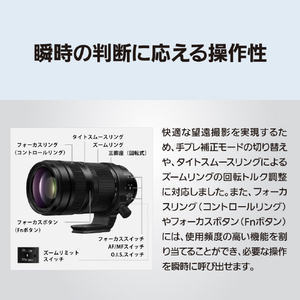 パナソニック デジタル一眼カメラ用交換レンズ S-R100500-イメージ12