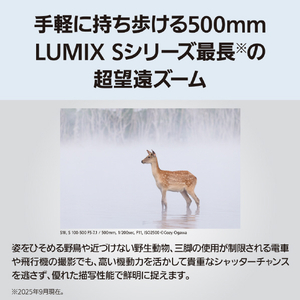 パナソニック デジタル一眼カメラ用交換レンズ S-R100500-イメージ5