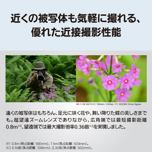 パナソニック デジタル一眼カメラ用交換レンズ S-R100500-イメージ8