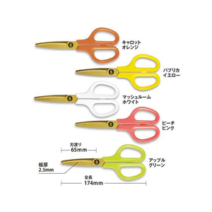 プラス はさみ フィットカットカーブ 洗えるチタン アップルグリーン 34555 F934875-34-555-イメージ8