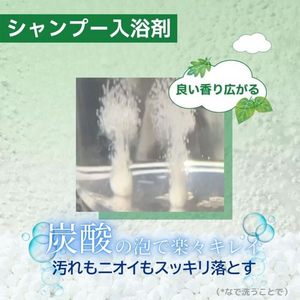 アースペット 愛犬用 炭酸入浴剤ぬくりん 森林の香り 300g FCE854K-イメージ2