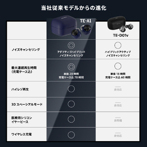 AVIOT トゥルーワイヤレスイヤフォン カーキ TE-A1-KH-イメージ20