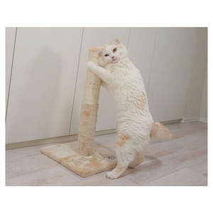 ペットプロジャパン ねこがくれ ねこちゃん大好き爪とぎ キャットタワー ポール FCC9435-イメージ7