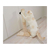 ペットプロジャパン ねこがくれ ねこちゃん大好き爪とぎ キャットタワー ポール FCC9435-イメージ8