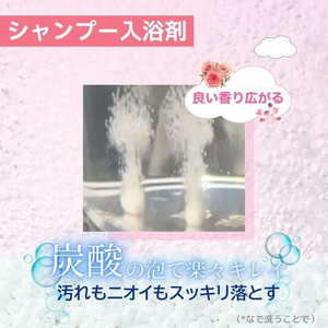 アースペット 愛犬用 炭酸入浴剤ぬくりん バラの香り 300g FCE855K-イメージ2