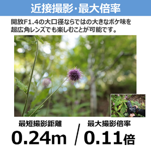 キヤノン RF14mm F1．4 L VCM RFレンズ RF14F14LVCM-イメージ8