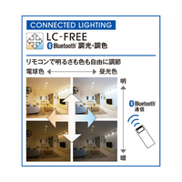 オーデリック OL291438BR ～8畳用 LEDシーリングファン