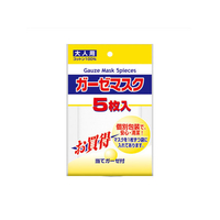 興和 ガーゼマスク 大人用 5枚入り FC24869