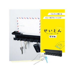 カール事務器 キーハンガー 傾斜トレー付き ブラック FCU3414-KH-001-K-イメージ2