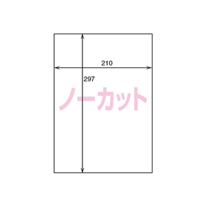 コクヨ カラーLBP&コピー用光沢紙ラベルA4 ノーカット100枚 F818592-LBP-G1900-イメージ2