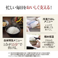 象印 NW-FB10-BZ 圧力IH炊飯ジャー(5.5合炊き) 炎舞炊き 濃墨 象印 NW-FB10-BZ 圧力IH炊飯ジャー(5.5合炊き) 炎舞炊き 濃墨