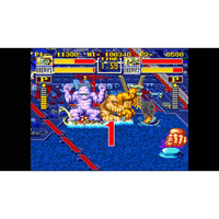 SNK HACPBR3MA アケアカNEOGEO セレクション Vol．9【Switch