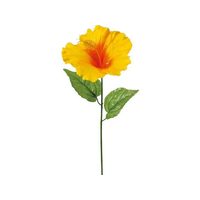 YDM（横浜ディスプレイミュージアム） FC754SV-FS-8355NOR