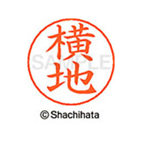 シヤチハタ ネームペン用ネーム シルバー 既製 横地 FC47738-X-GPS-1967
