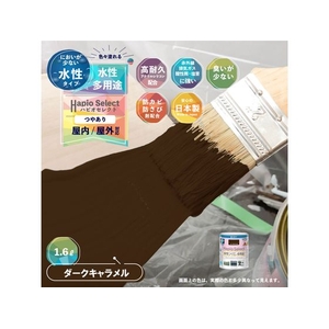カンペハピオ ハピオセレクト ダークキャラメル 1.6L FCB574M-イメージ2