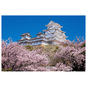 PALACE ジグソーパズル 金閣寺絢爛（京都） / ジグソーパズルやのまん通信販売