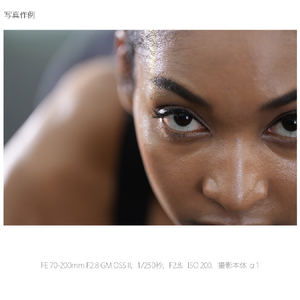 SONY デジタル一眼カメラα[Eマウント]用レンズ FE 70-200mm F2.8 GM OSS II SEL70200GM2-イメージ11