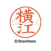 シヤチハタ ネームペン用ネーム シルバー 既製 横江 FC47739-X-GPS-1968