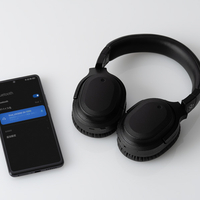 final FI-UX3SDPL ヘッドホン UX3000 SV ブラック|エディオン公式通販