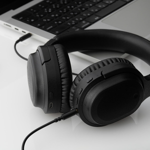final ヘッドフォン UX3000 SV ブラック FI-UX3SDPL-イメージ10