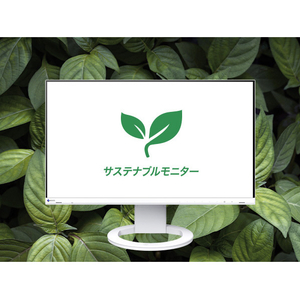 EIZO 23．8型液晶ディスプレイ FlexScan ブラック EV2480-ZBK-イメージ15