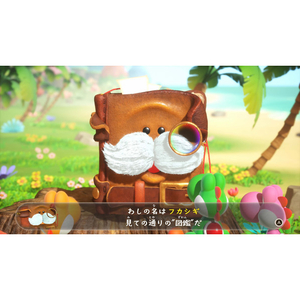 任天堂 ヨッシーとフカシギの図鑑【Switch 2】 BEEPAAKGA-イメージ2