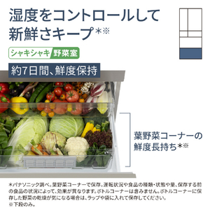 パナソニック 501L 6ドア冷蔵庫 ヘアラインシャンパン NR-F50HY2-N-イメージ15
