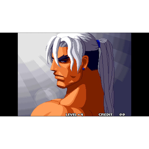 SNK アケアカNEOGEO セレクション Vol．10【Switch】 HACPBR3NA-イメージ4