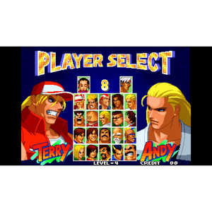 SNK アケアカNEOGEO セレクション Vol．10【Switch】 HACPBR3NA-イメージ5
