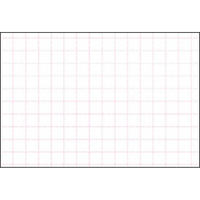 タカ印 ショーカード 大 アミ目入 無字 50枚 FCF165V-17-5308