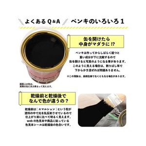 カンペハピオ ハピオセレクト くろ 3.2L FCB580M-イメージ10