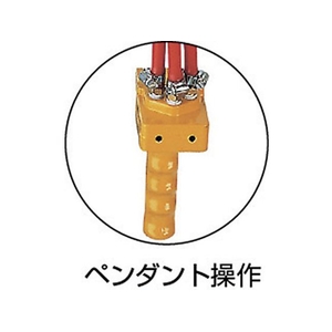 遠藤工業 エアーホイスト AT-60K 60kg 3m FC982HA-3210014-イメージ2