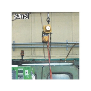 遠藤工業 エアーホイスト AT-60K 60kg 3m FC982HA-3210014-イメージ3