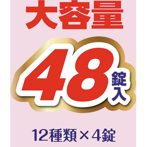 白元アース HERSバスラボ お楽しみパック 48錠入 FC919NW-イメージ4