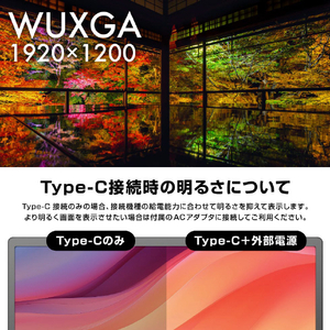 サンコー Mac/Windows両対応 上下2画面拡張ポータブルモニター ホワイト DMAC25HWH-イメージ11