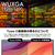 サンコー Mac/Windows両対応 上下2画面拡張ポータブルモニター ホワイト DMAC25HWH-イメージ11