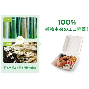 パックスタイル バガス容器 ABランチ 180-130 50枚 FC275SH-00649711-イメージ5