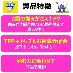 アースペット 食べられる歯みがきロープ 愛猫用ややかため 20g FCE868K-イメージ2