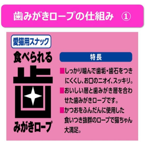 アースペット 食べられる歯みがきロープ 愛猫用ややかため 20g FCE868K-イメージ3